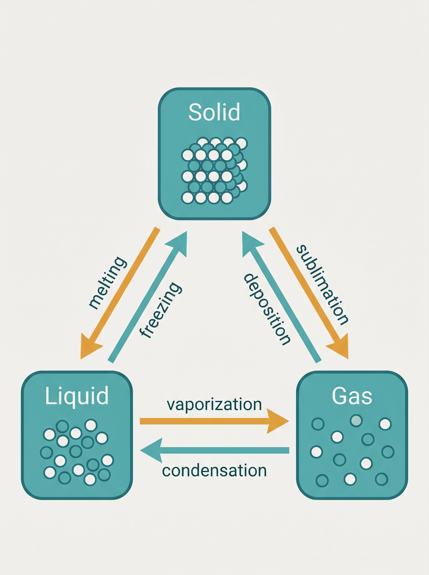 States of Matter & Phase Transitions · Chemistry Knowledge Card